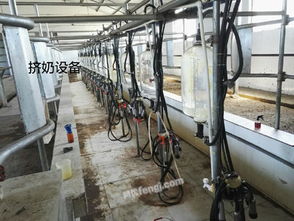 大型養殖場整廠轉讓及資產處置信息
