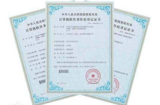 軟著轉讓費用與軟著購買策略 技術轉讓中的關鍵考量